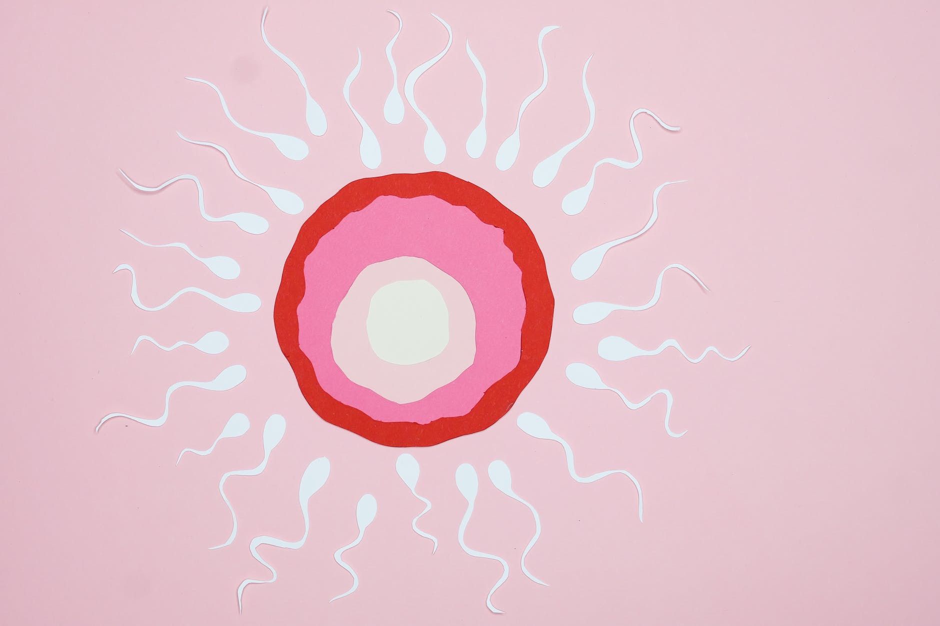 Penyebab Necrozoospermia, Kelainan Yang Menyebabkan Matinya Sperma